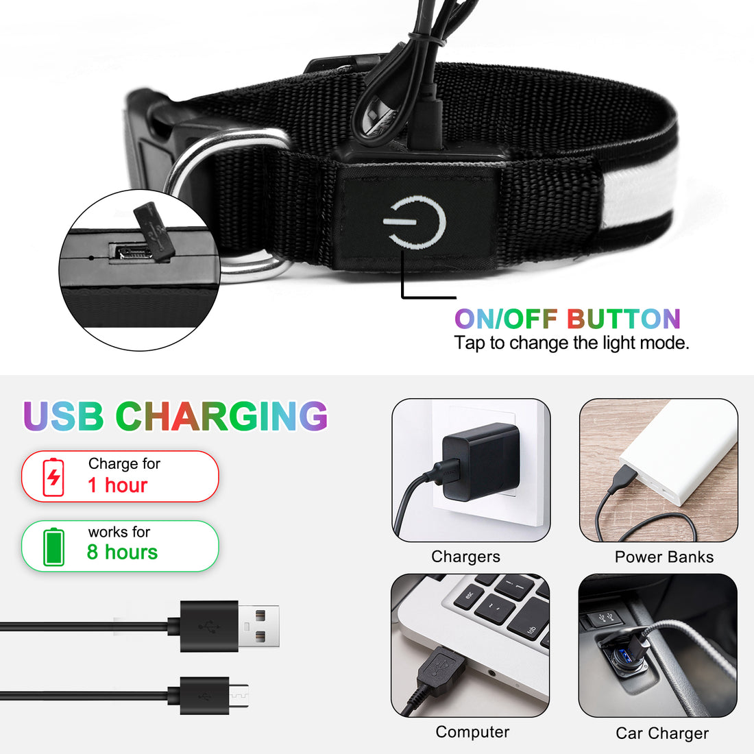 Light Up Dog Collar